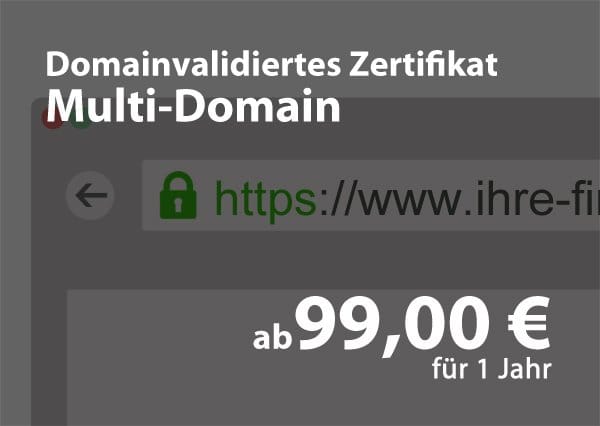 Domain-Validiertes – Multi Domain Zertifikat für 99€