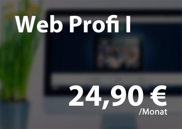 Webhosting Paket - WebProfi 1 für 24,90€