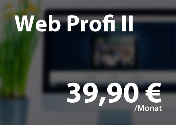 Webhosting Paket - Web Profi 2 für 39,90€